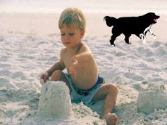 DULCE INFANCIA -COLLAG.. Distracci�nes - Arte - 